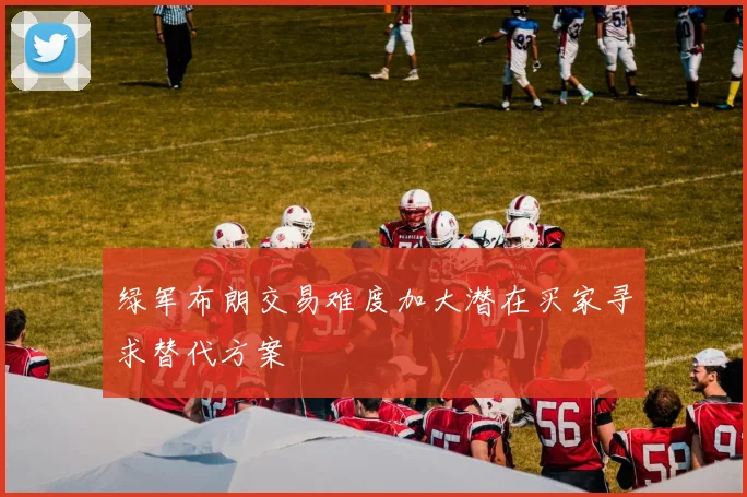 绿军布朗交易难度加大潜在买家寻求替代方案