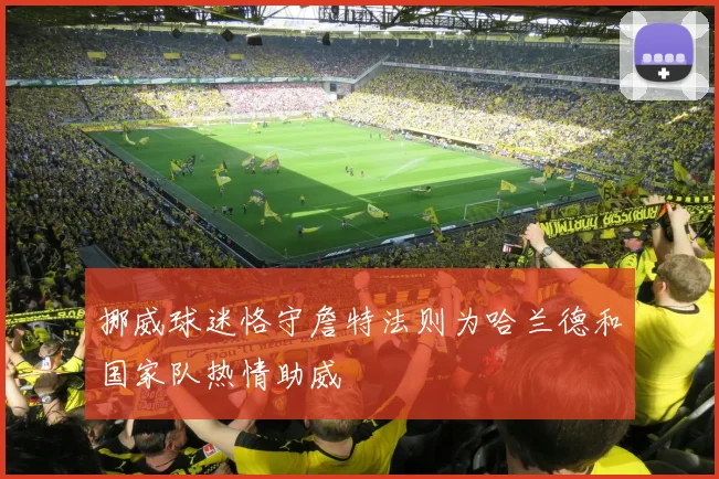 挪威球迷恪守詹特法则为哈兰德和国家队热情助威